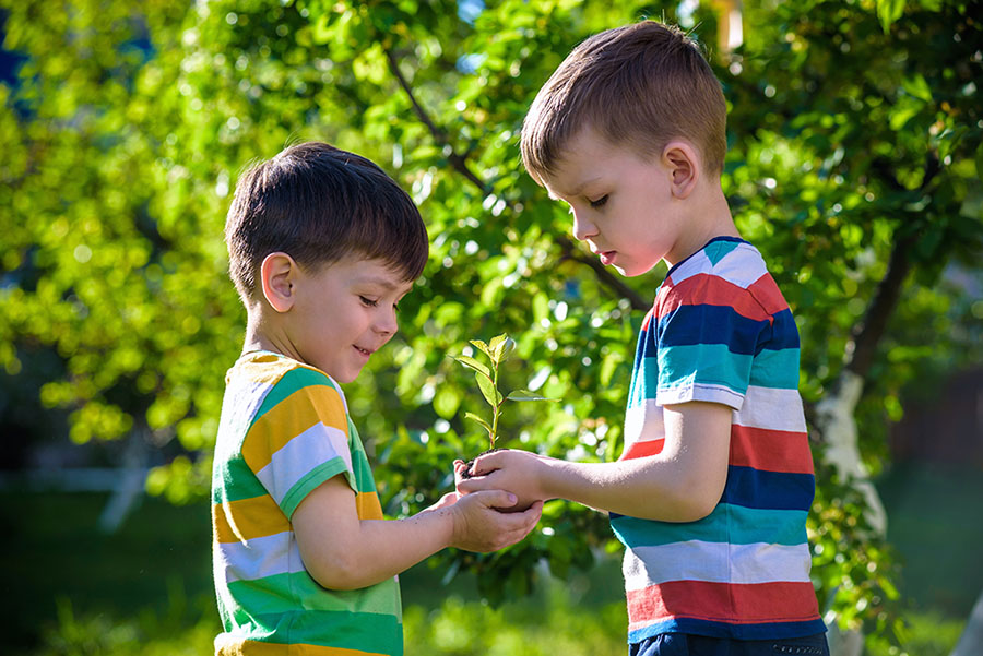 Two young white boys outside holding a sapling